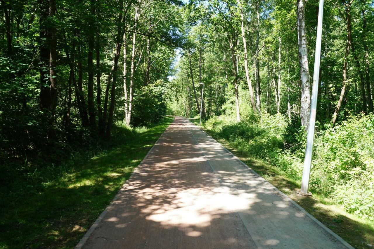Polanki